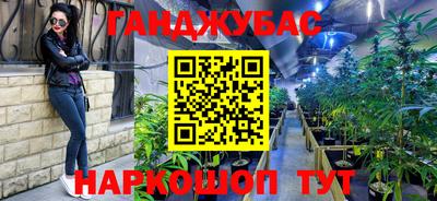 гидра Гай
