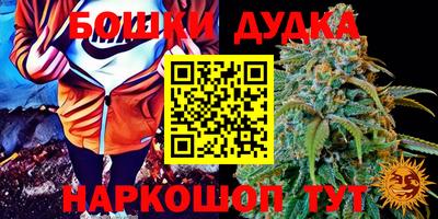 гидра Гай
